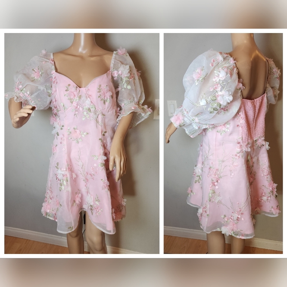Sugar Thrillz 3D Floral Pink Green Puff Sleeve Mini Dress Size 1X Fairy Coquette - Picture 2 of 16